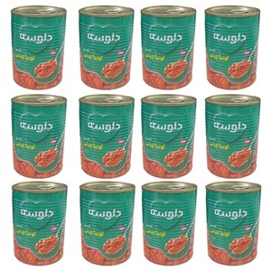 کنسرو لوبیا چیتی دلوسه - 380 گرم بسته 12 عددی