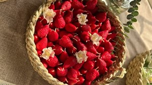 شمع روسی دکوراتیو مدل توت فرنگی