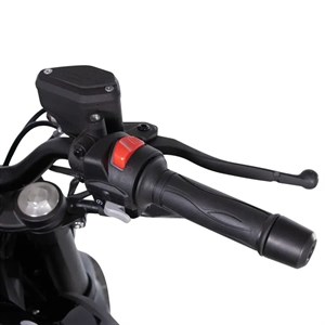 موتور سیکلت دینو ZX 249cc مشکی