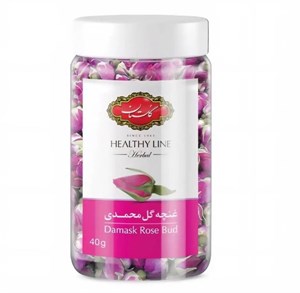 غنچه گل محمدی گلستان