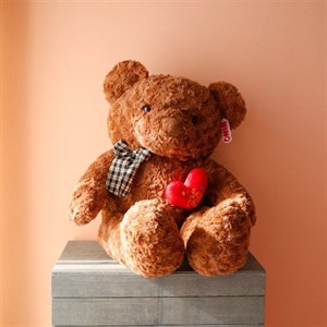 عروسک خرس تدی سایز بزرگ با قلب