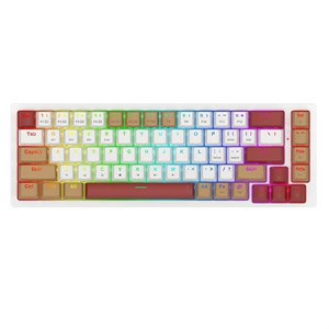 کیبورد بی سیم گیمینگ ردراگون REDRAGON GAMING RAMMUS K677 WLR PRO
