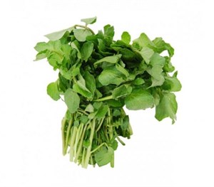 شاهی تازه 1 کیلوگرم