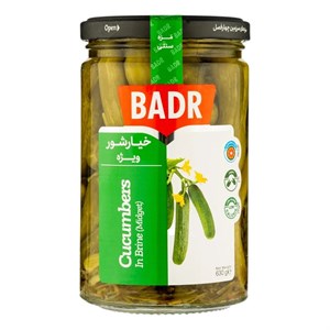 خیارشور ویژه سرکه ای بدر 630 گرم باکس 12 عددی