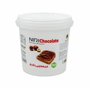پودر تمیزکننده سطوح رخشا 500 گرم