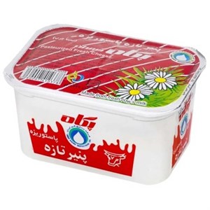 پنیر تازه پاستوریزه پگاه همدان 450 گرم