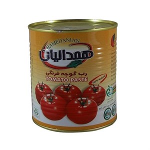 رب گوجه فرنگی همدانیان 800 گرم