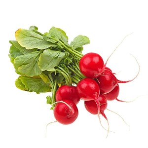 تربچه تازه 1 کیلوگرم