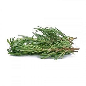 رزماری تازه بسته 100 گرم