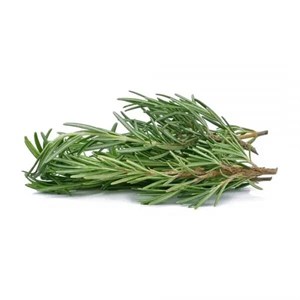 رزماری تازه بسته 100 گرم