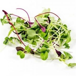 سبزی میکروگرین بسته 60 گرم