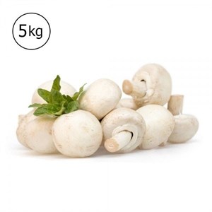 قارچ فله 5 کیلوگرم