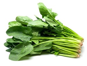 اسفناج تازه دستچین 1 کیلوگرم