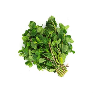 نعنا موهیتو تازه بسته 250 گرم