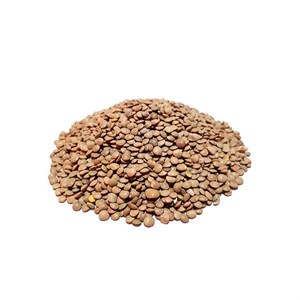 عدس ریز 900 گرم