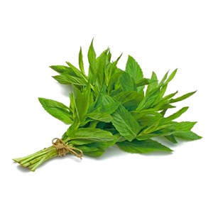 نعنا تازه پاک شده 1 کیلوگرم