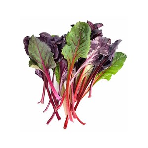 سبزی سوییس چارد بسته 250 گرم