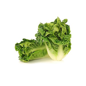 کاهو لیتل جم سبز بسته 500 گرم