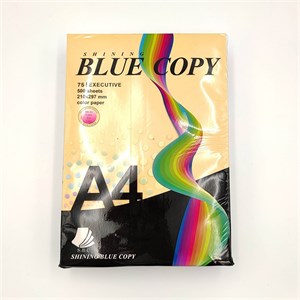 کاغذ رنگی کپی سایز BLUE COPY A4 پنج 5 رنگ
