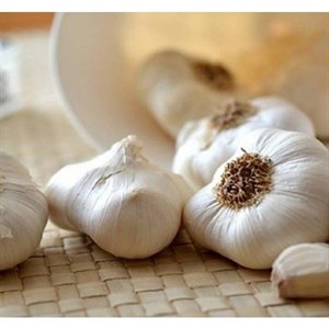 عرق گیاهی سیر ممتاز، سنتی کاشان