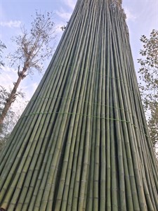 لوله خام 1.5 متری قطر نازک کد170