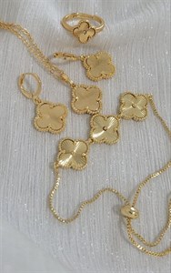 سرویس ونکلیف کد 135