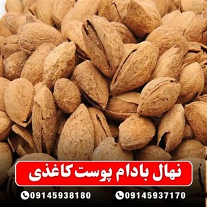 نهال بادام پوست کاغذی