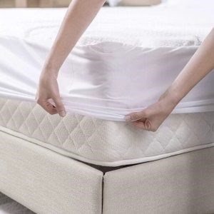 محافظ تشک پلاس رویا 2*160