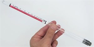 الکل سنج فرانسوی دو سر آبی ( ارسال از تهران )