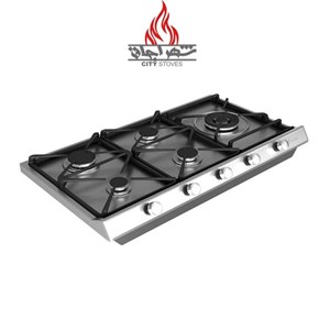 گاز صفحه ای داتیس DS 589