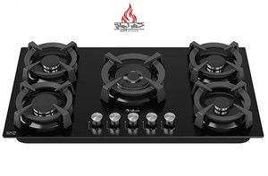 گاز صفحه ای داتیس DG 567