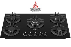 گاز صفحه ای داتیس DG 551