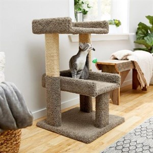 اسکرچر گربه MeowNa مدل C23