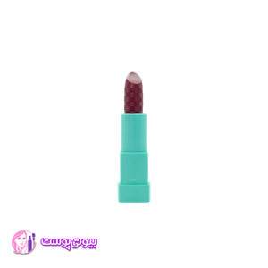 رژ لب جامد شماره 09 شال کوین Shall Coin   رژ لب رز طبیعی و گیاهی بیوتی پوست