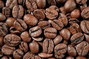 دانه قهوه 100 ربوستا  - 1 کیلوگرم,قهوه ترک