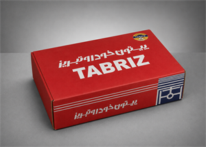 بوش و پیستون پژو 405 (موتور 1800) برند تبریز
