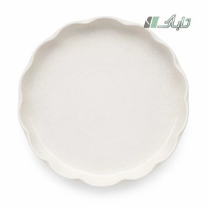 ت سفیدبرفی دیس 33 سانت 125