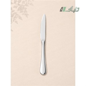 کاردمیوه استیل پارمابراق