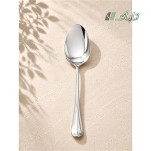 کفگیرکوچک استیل پارمابراق کوچک