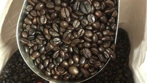 قهوه فول کافئین شکلاتی(عمده