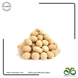 بادام زمینی روکش دار پیاز جعفری