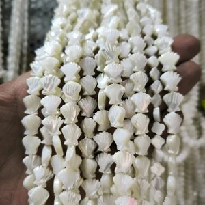 ریسه صدف گوش ماهی درجه یک کد 3139