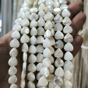 ریسه صدف قلبی درجه یک کد 3132