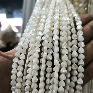 ریسه صدف قلبی درجه یک کد 3131
