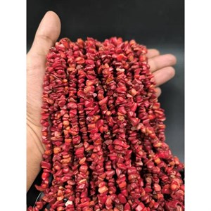 ریسه سنگ مرجان چیپسی