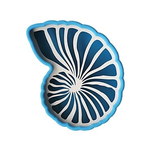 جا اسکاچی مدل حلزونی کاردیما  کد KA51102