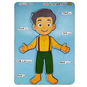 پازل آموزشی محصولات امید مدل بدن انسان