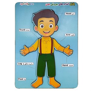 پازل آموزشی محصولات امید مدل بدن انسان