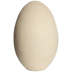 تخم شترمرغ سفالی کد ۶