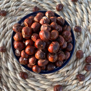 فندق برشته